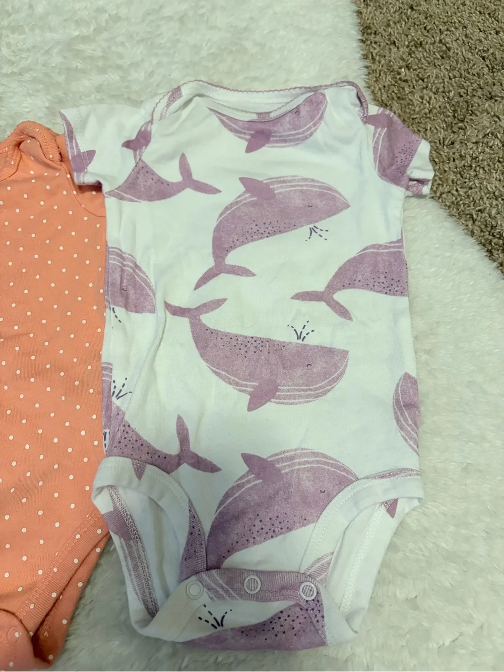 Carters Baby Girls' 5-Piece Mix-and-Match Clothing Lot size 3-6 months